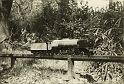 19500000s G S LONG LNER A1 Great Northern 113 at Broadstone